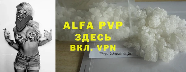 стафф Алзамай
