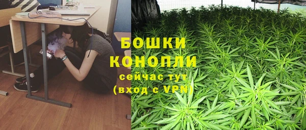 ПСИЛОЦИБИНОВЫЕ ГРИБЫ Алексин