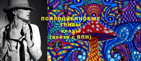 ПСИЛОЦИБИНОВЫЕ ГРИБЫ Алексин