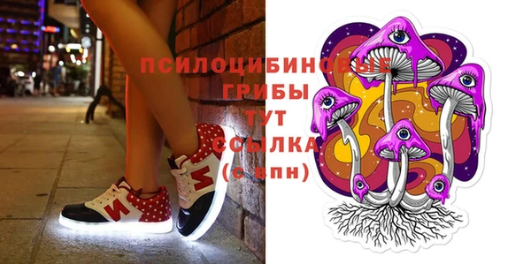 стафф Алзамай