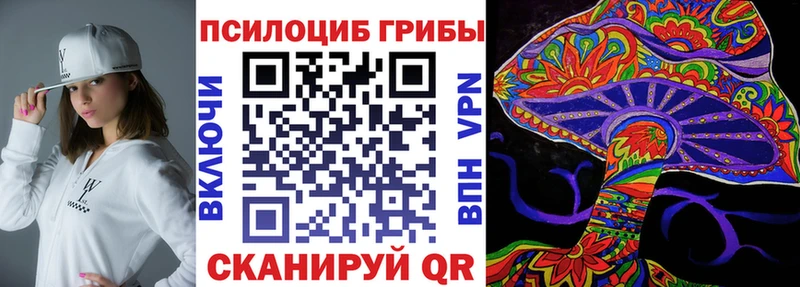 Галлюциногенные грибы Psilocybine cubensis Кукмор