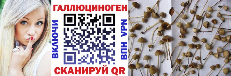 Псилоцибиновые грибы ЛСД  Кукмор 