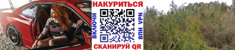 кракен онион  Кукмор  Бошки марихуана ГИДРОПОН 